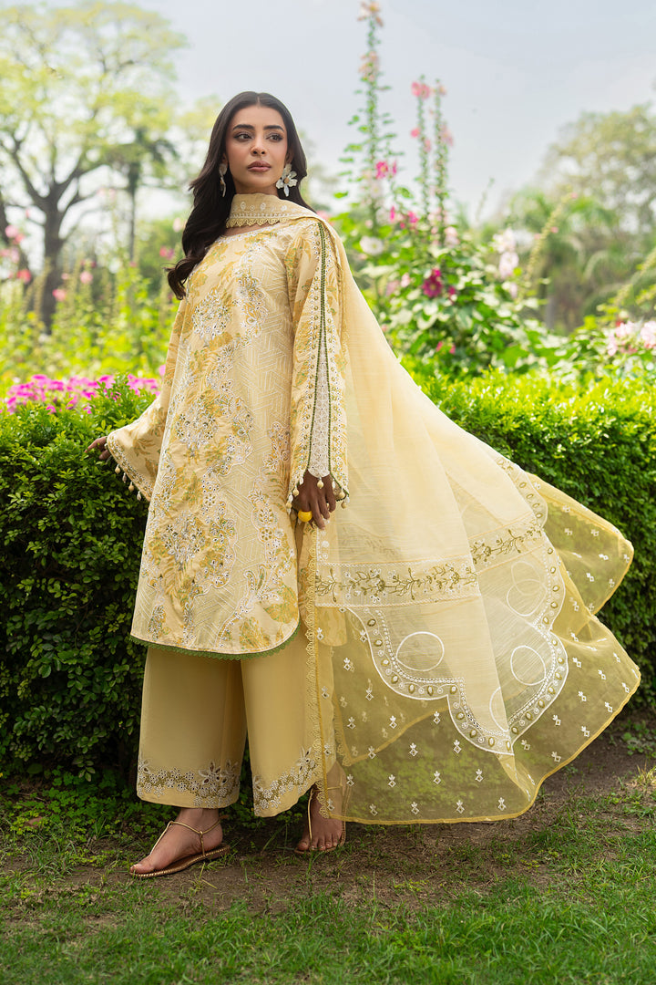Ashfi yellow lawn 3 piece ready to wear outfit with white thread embroidery, flared cambric trouser and cotton organza dupatta for summer daytime events.