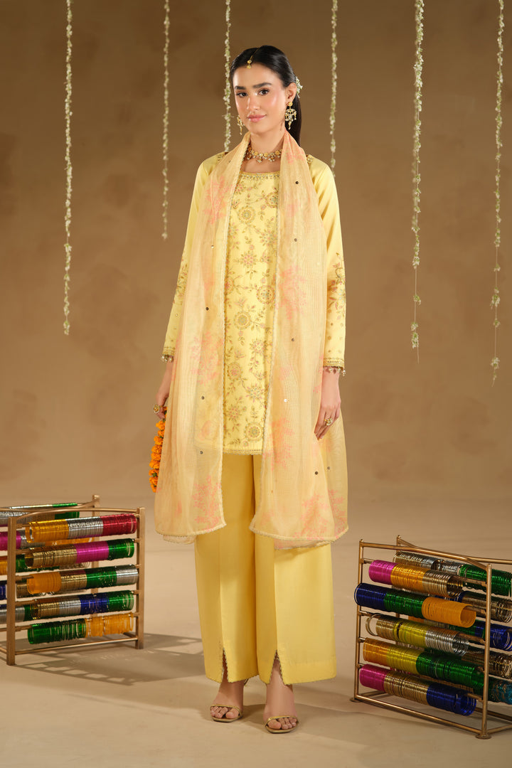 Full length standing pose of Aahal ready to wear outfit with light printed dupatta drape