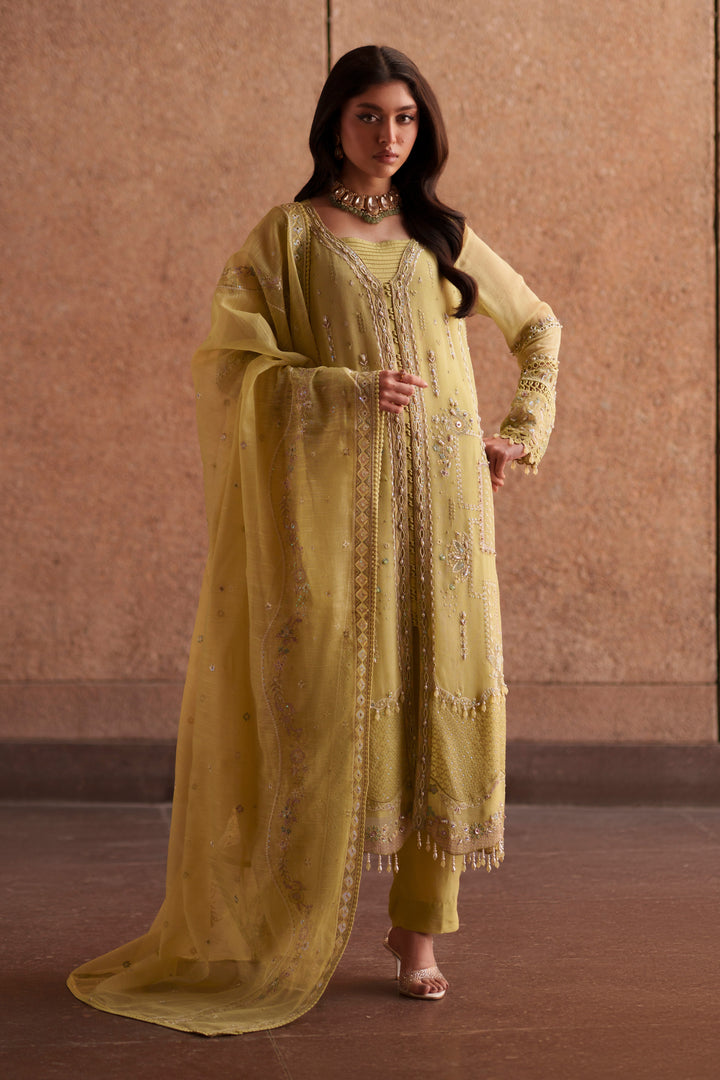 NAQSHI Pedro lime green embroidered khadi net 3-piece luxury pret outfit with PK raw silk trousers and cotton organza dupatta from Aura collection