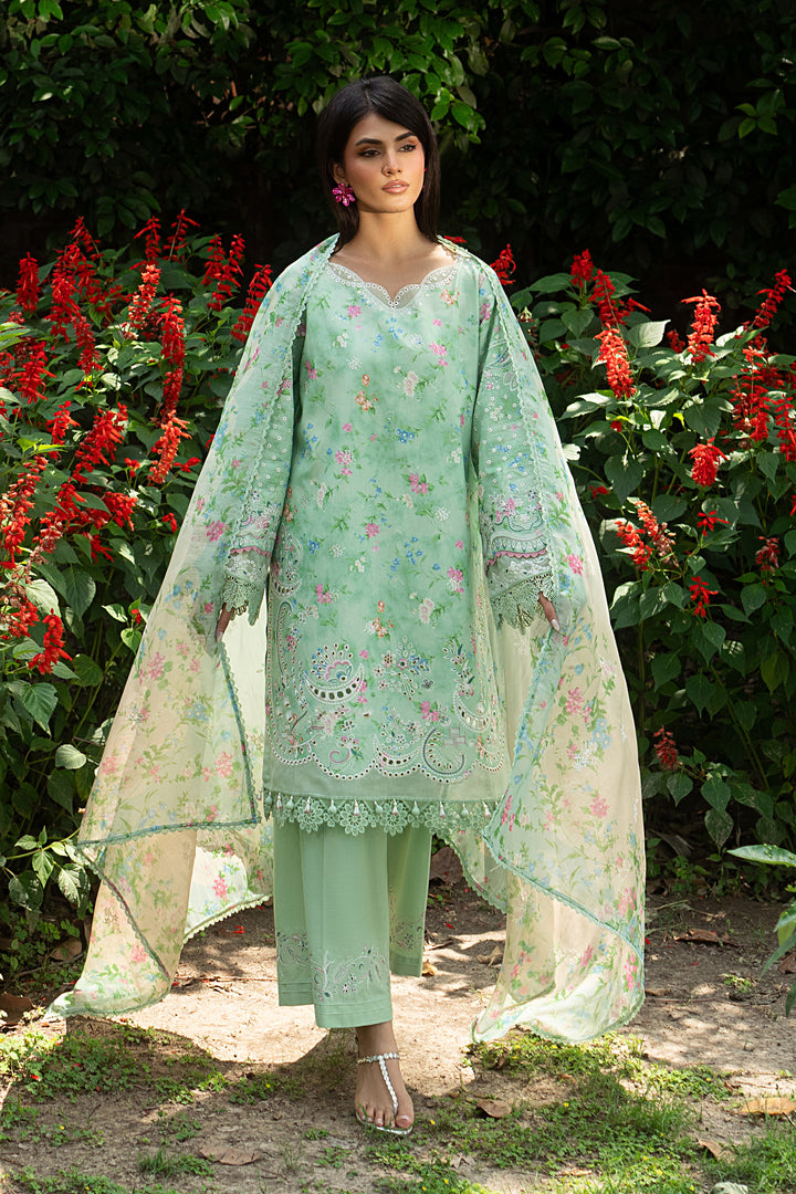 Menesa aqua green lawn 3 piece ready to wear outfit with white thread embroidery, culotte cambric trouser and digital cotton organza dupatta for summer day events