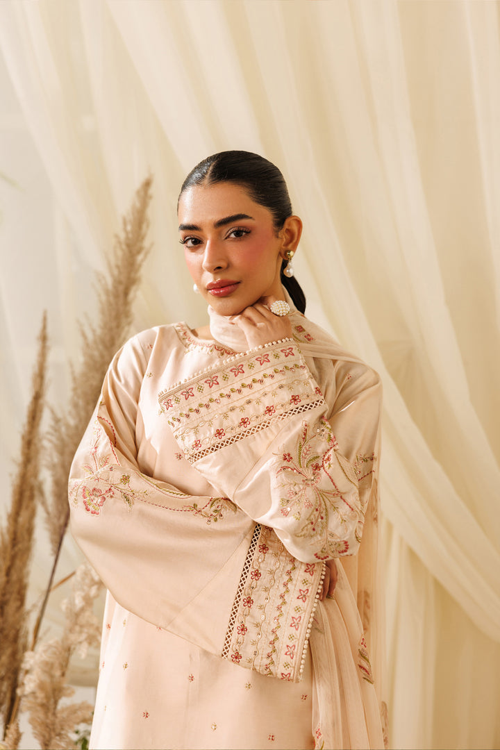 Close-up front view of NAQSHI Rayla outfit highlighting boat neckline with hand adda work and soft beige tone