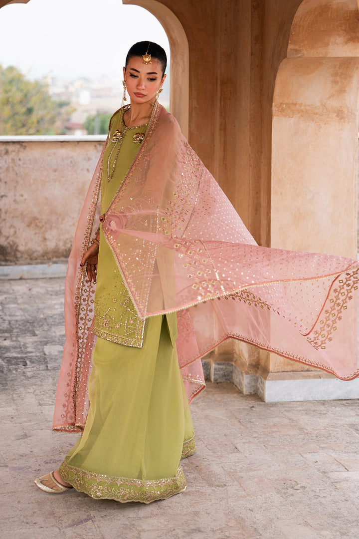 Zaraan pistachio organza festive dress with flowing tea pink zari organza dupatta and embroidered shirt for Eid and festive events