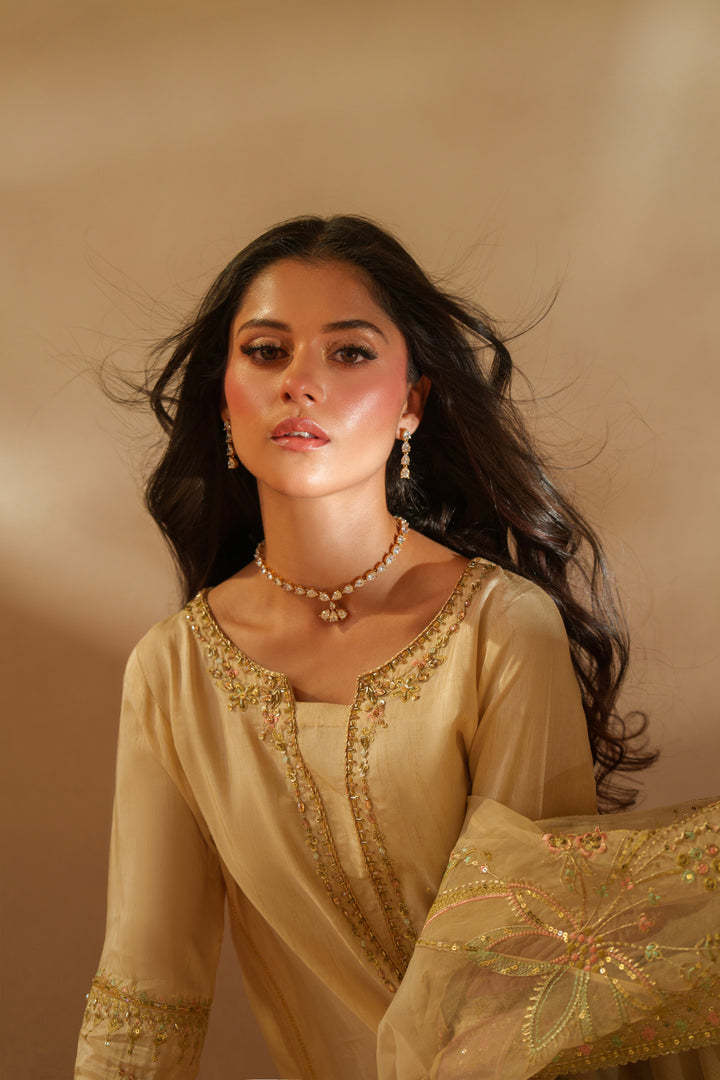 Close-up portrait of NAQSHI Mawrah outfit highlighting rich embroidery, boat neckline with subtle V dip, and luxurious ready-to-wear formal design on model
