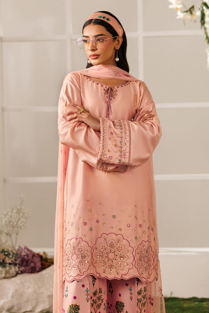 Front close-up view of NAQSHI Hoorish outfit highlighting boat neckline with tassels and embroidery details