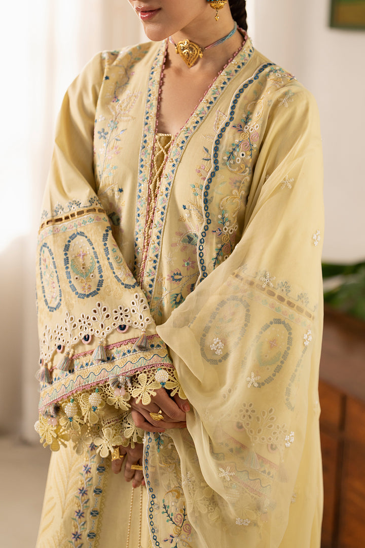 Close-up of Nashiman embroidered lawn shirt highlighting embroidered pati neckline, intricate border work and sleeve detailing