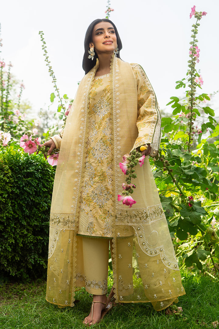 Ashfi yellow 3 piece outfit with airy cotton organza dupatta featuring embroidered border and lace details for a complete event look.