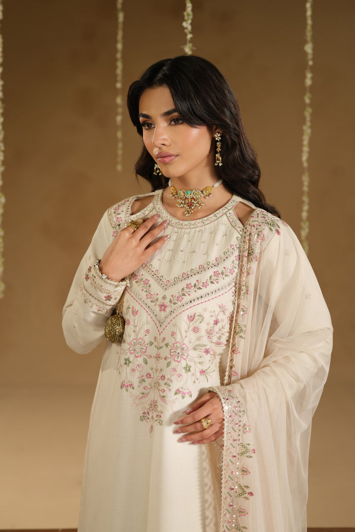 Sleeve and dupatta detail of Rafza outfit showing embroidered sleeve borders and light net dupatta pattern for festive day wear