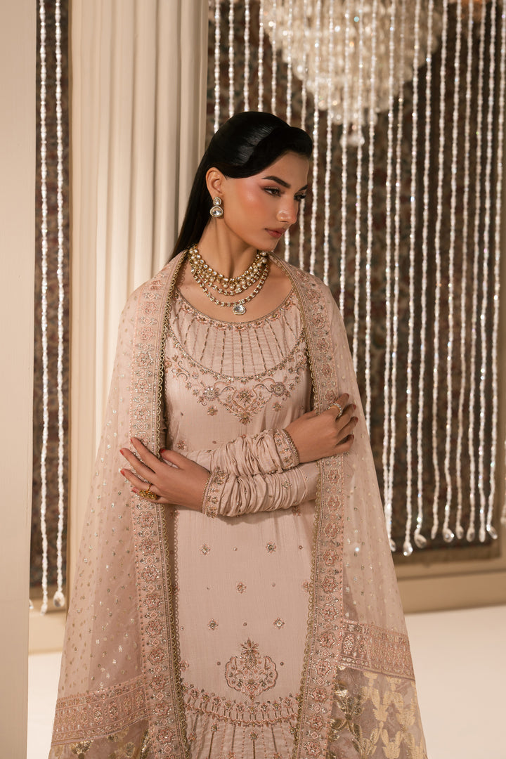 Upper body portrait of Mahbeer Nikkah dress highlighting neckline work and soft organza dupatta fall, elegant ready to wear bridal attire.