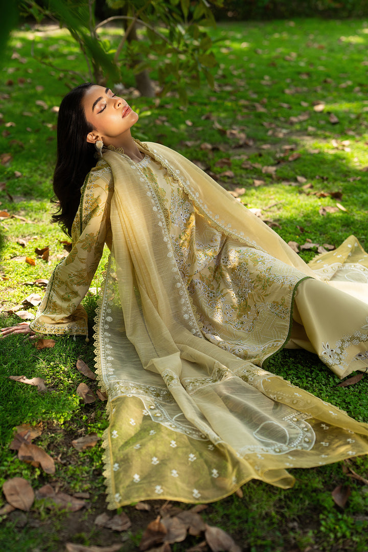 Flowing dupatta look of Ashfi yellow outfit showing lightweight cotton organza fabric with detailed embroidered borders.