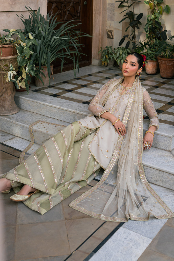 Saaz festive organza outfit with embroidered shirt, flared trousers and detailed net dupatta from NAQSHI Tabeer collection