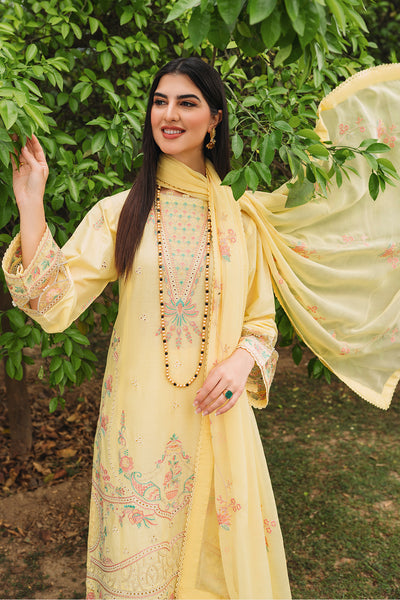 KASHISH